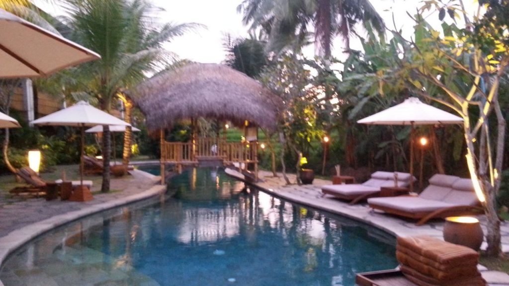 Pool Alea Resort Ubud 1024x576 - 10 Best Hotels Ubud - Recommendations Suitable for Honeymoon