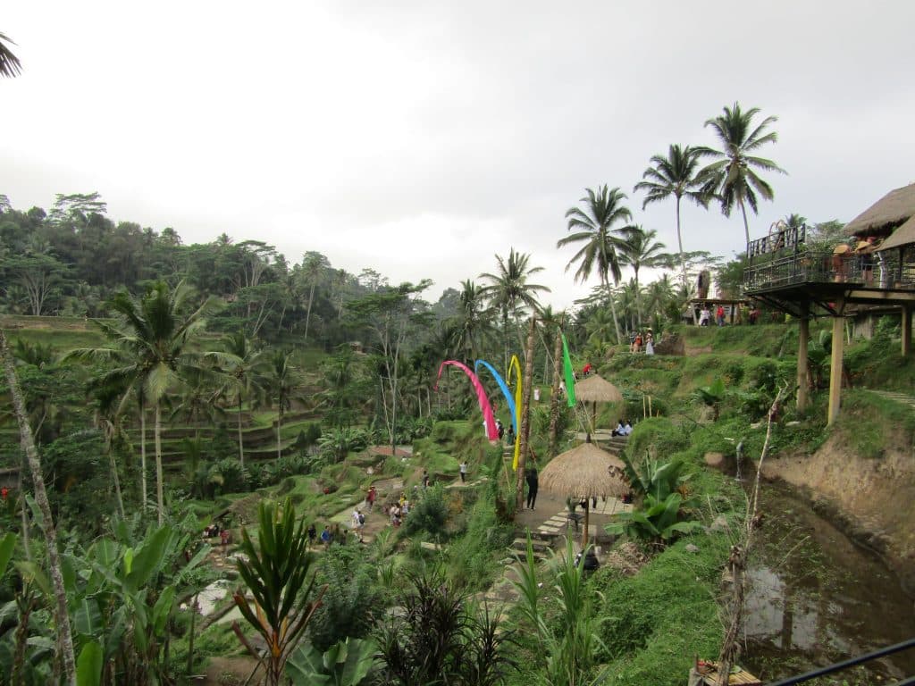 bukit Campuhan Ubud 1024x768 - 7 Tempat Wisata Bali untuk Honeymoon Romantis dan Berkesan