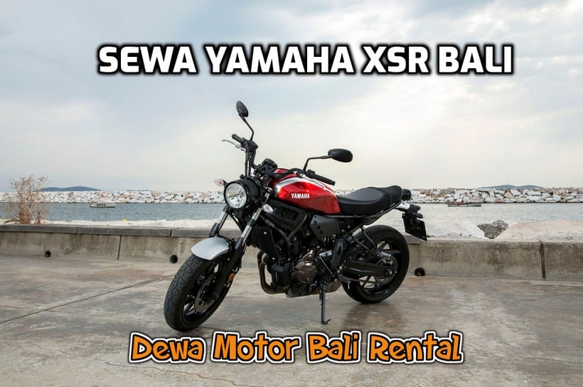 Yamaha XSR Bali rental